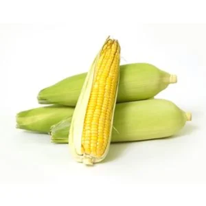 Sweet Corn