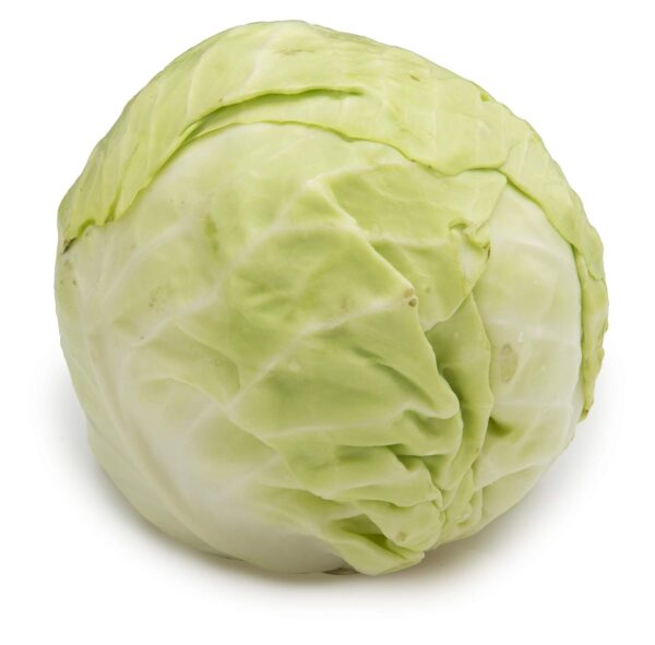 Cabbage