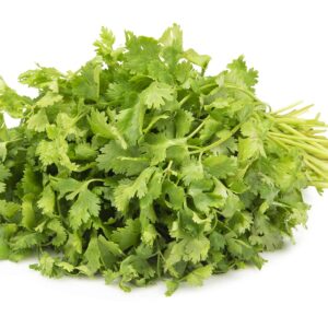 Coriander Leaves