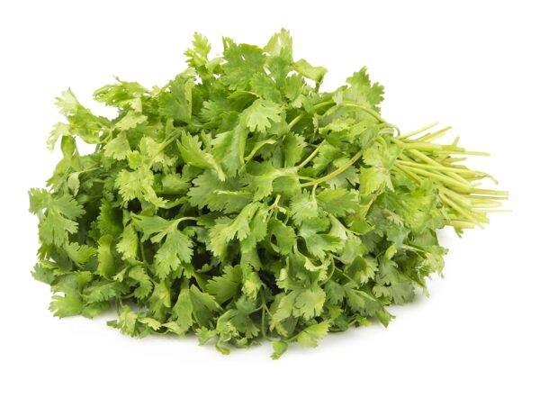 Coriander Leaves