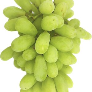 Grapes