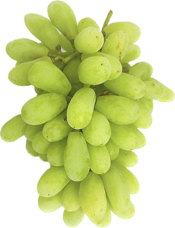 Grapes