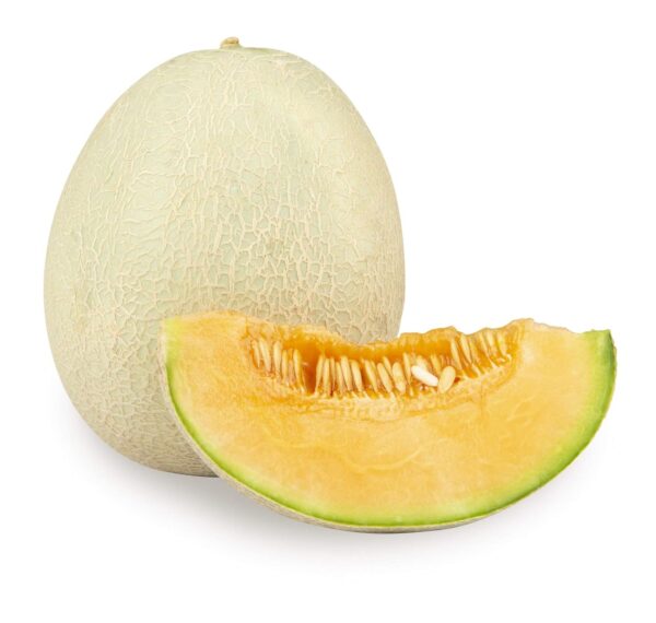 Muskmelon