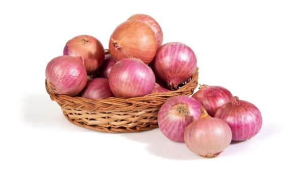 Onion